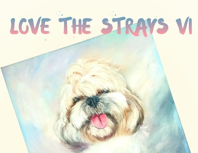 love the strays 6 7 may 2023 1 e1678105776991 2122dd37