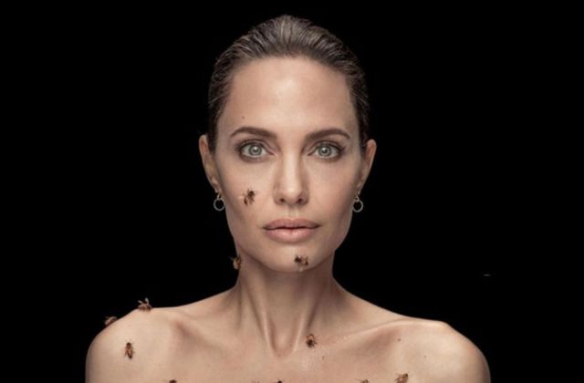 ANGELINA JOLIE NATIONAL GEOGRAPHIC 3f423a36