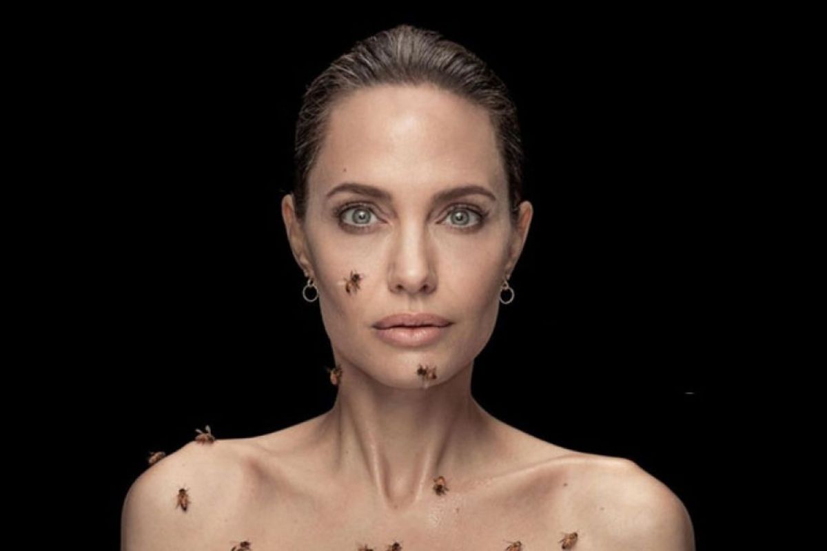 ANGELINA JOLIE NATIONAL GEOGRAPHIC 9b51aed5